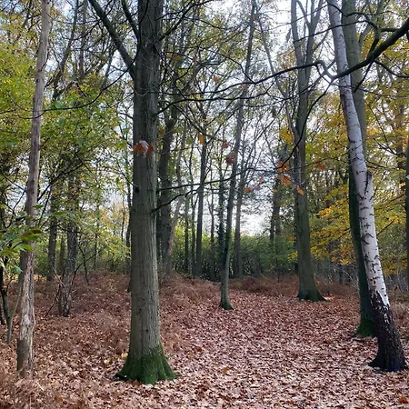 Groepsaccommodatie - De Ooymanhoeve Doetinchem