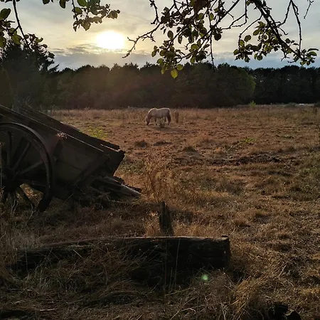 Tatil Evi Groepsaccommodatie - De Ooymanhoeve *