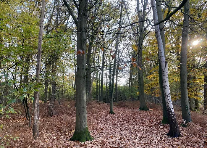 Groepsaccommodatie - De Ooymanhoeve Doetinchem