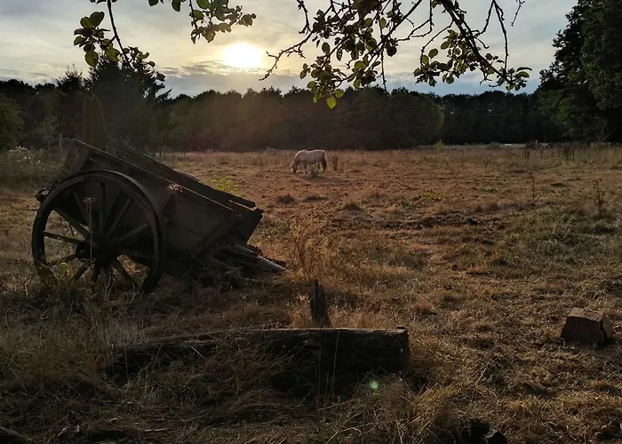 Vakantiehuis Groepsaccommodatie - De Ooymanhoeve *